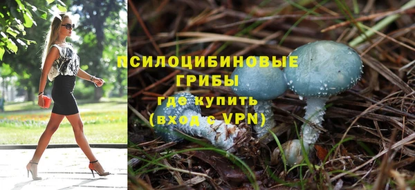 прущие грибы Заволжье